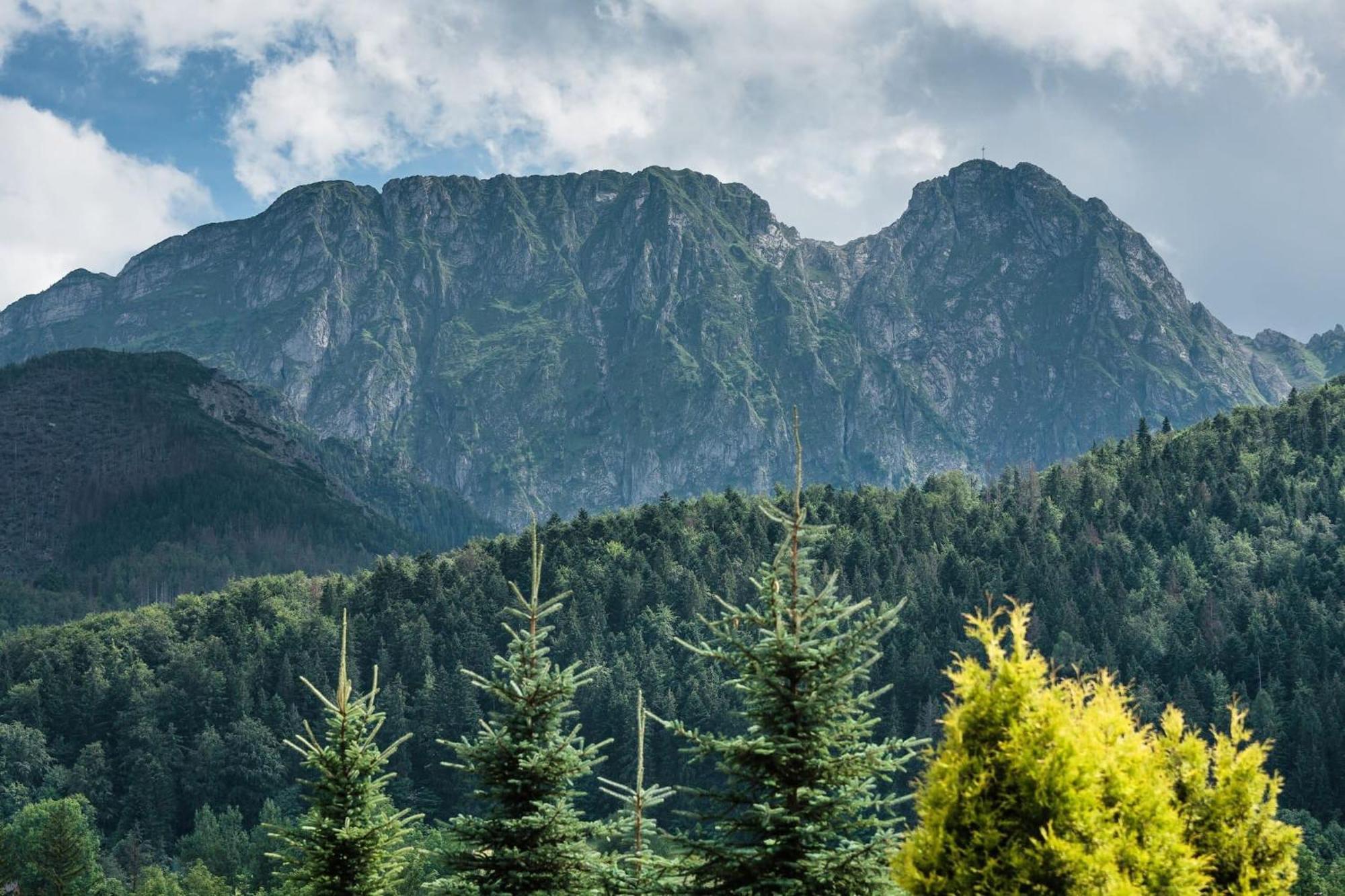 Rent like home - Skibówki Zakopane Zewnętrze zdjęcie
